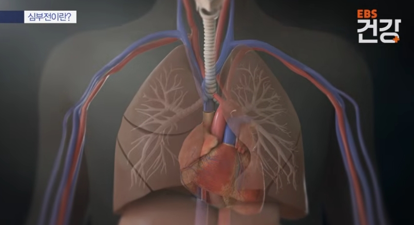 심부전의 생존율,심장기능, 생활습관 1 Capture 2026 0409 225840