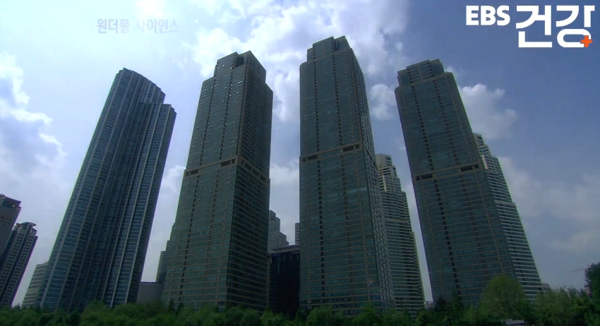 피부노화 원인 자외선 차단. 차단제 사용량, 도구 효과, 일광욕 균형 총정리 1 Capture 2026 0410 070955