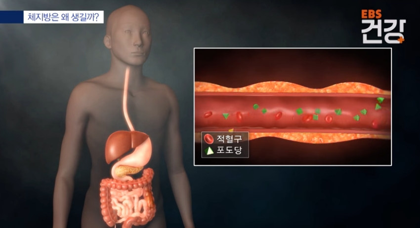 Capture 2026 0410 071144